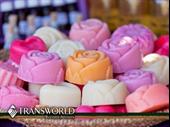 soap retail e-commerce business
