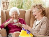 dom care franchise help