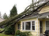 established disaster restoration franchise