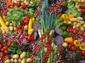 fruit veg+ more t
