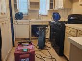 water damage mold restoration