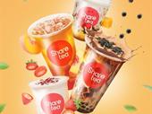 sharetea south west sydney