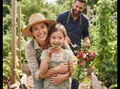 healthcare private medical insurance