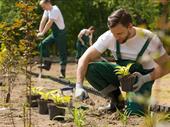 premium landscaping maintenance business