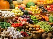 fresh produce flower business