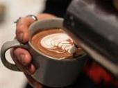 cafe city cbd huge