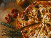established pizza franchise for