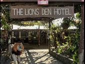 the legendary lion s