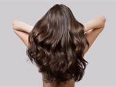 established fully staffed hair