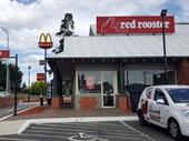 red rooster orange long