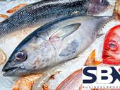 fish market seafood takeaway