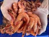 established mobile seafood retail