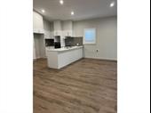 established cleaning business lake