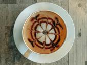 fully managed cbd café