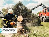 profitable construction service biz