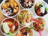 frozen yogurt franchise established