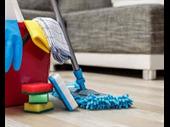 established cleaning business excellent
