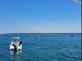 business for sale marine