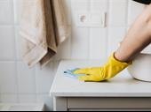 franchisor professional home cleaning