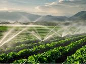thriving irrigation pumps business