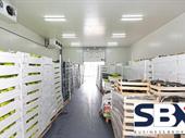 services perishables container forwarding