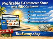 profitable 100 dropshipping online