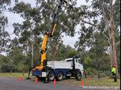 highly profitable tree services