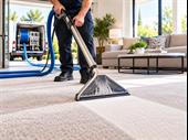 pest control carpet cleaning