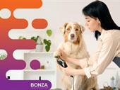 35643 established dog grooming