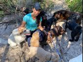 established dog walking pet