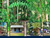 freehold cabins camping business